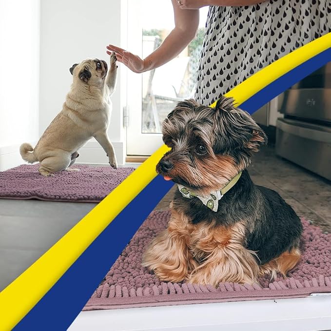 Muddy Mat® | Super Absorbent Door Mat Indoor, Microfiber Quick Dry Chenille Entryway Rug, Non-Slip Front Door Mat, Indoor Mats for Entryway, Machine Washable Pet Rug, Plum 19" x 30"