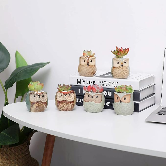 T4U Owl Ceramic Succulent Planter Set of 12, 2.5 Inch - Mini Cute Animal Pots with Drainage Holes, Small Flower Planters for Windowsill Desk Decor, Gift for Owl Lovers
