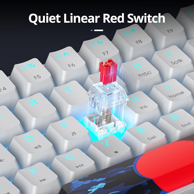 60 Percent Gaming Keyboard 61 Keys Wired Mechanical Keyboard Ultra Compact Key Board Red Switch LED Backlit for Windows Laptop Gamer