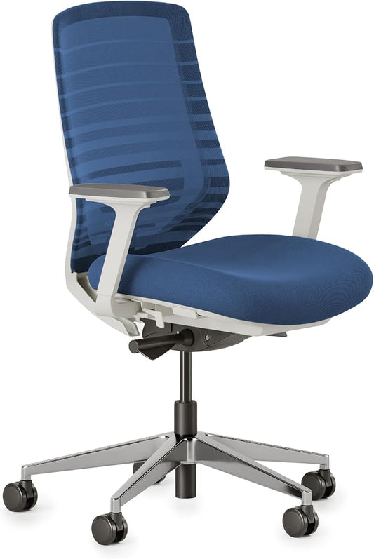 Branch Ergonomic Chair, Versatile Desk Chair with Adjustable Lumbar Support | Breathable Mesh Backrest and Smooth Wheels, Experience Optimal Comfort and Support, Baltic