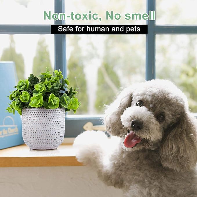 Artificial Plants in Ceramic Planter Cute Lysimachia Fake Succulent Flowers Potted for Home Office Table Desk Decor Living Room Bathroom Bedroom Shelves Decoration
