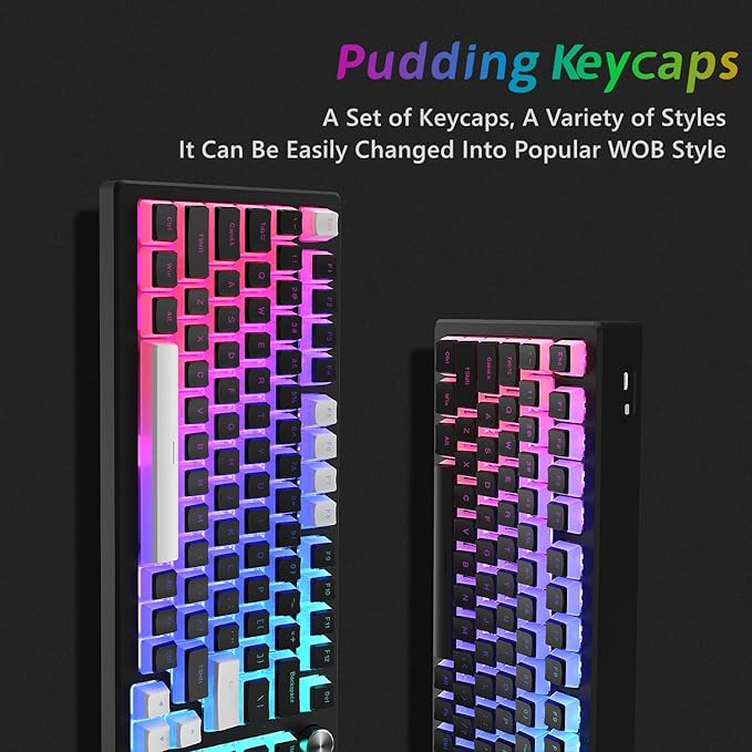 Womier Pudding Keycaps, PBT Shine Through Keycaps 165 Keys Set Custom Key caps Set OEM Profile, Universal Compatiability for 100%, 75%, 65%, 60% Keyboard-Black