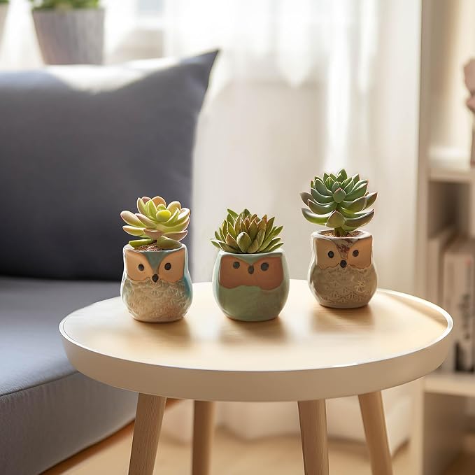 T4U Owl Ceramic Succulent Planter Set of 12, 2.5 Inch - Mini Cute Animal Pots with Drainage Holes, Small Flower Planters for Windowsill Desk Decor, Gift for Owl Lovers