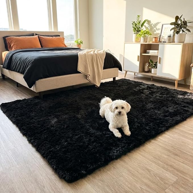 Mugorn Black Rugs for Bedroom, 2x3 Feet Fluffy Area Rugs for Living Room, Soft Shag Kids Rug Small Carpet for Nursery, Bedside, Indoor, Dorm Decor