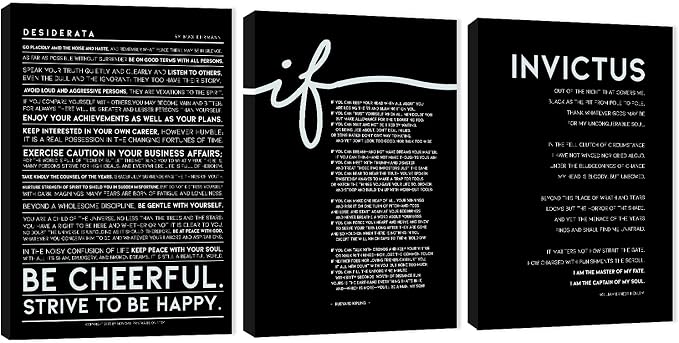 3 Piece Inspirational Wall Art, Black Background Sayings Picture, Quotes Motivational Canvas Prints for Office Decor, Triptych Entrepreneur Painting Framed Artwork for Home Wall Decor (36"Wx24" H)