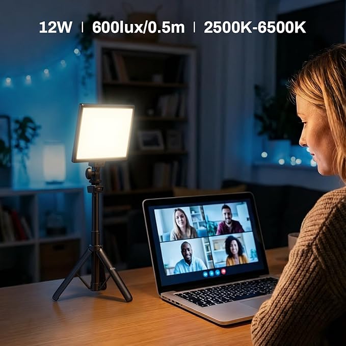 RALENO 9" LED Video Light Panel, 2500K-6500K Camera Light for Video Conference Recording with 4000mAh Battery Type-C USB Ports, CRI>95 Photo Lights for Outdoor Photography Live Streaming Zoom Call