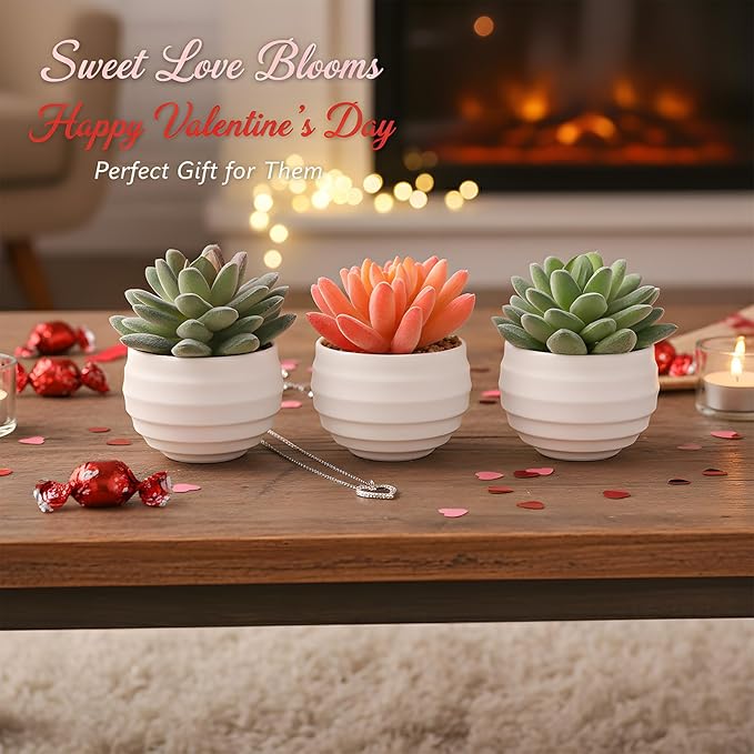 Tiita Artificial Faux Succulents in Pots Fake Plants Ceramic Arrangement Planter for Women Desk Small Mini Tiny Decoration for Home Office Desk Window