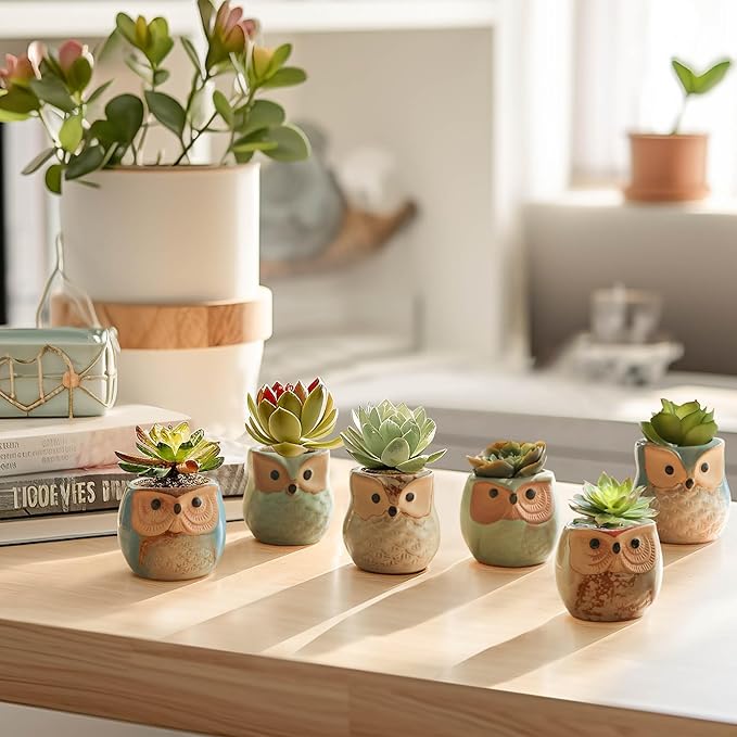 T4U Owl Ceramic Succulent Planter Set of 12, 2.5 Inch - Mini Cute Animal Pots with Drainage Holes, Small Flower Planters for Windowsill Desk Decor, Gift for Owl Lovers
