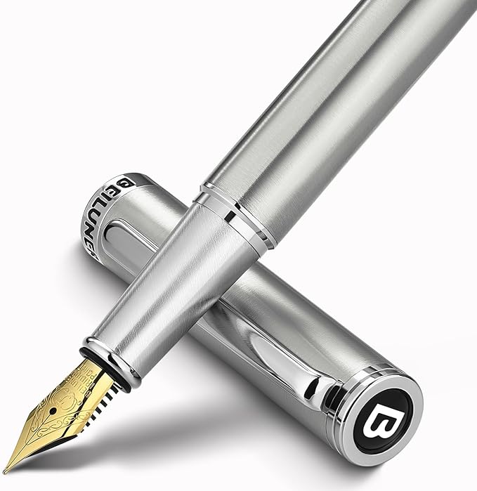 BEILUNER Luxury Fountain Pen Set, Solid 24K Gilded Fine Nib, Silver Stainless Steel Body- Includes 6 Ink Cartridges & Ink Refill Converter with Gift Case - Perfect for Men and Women