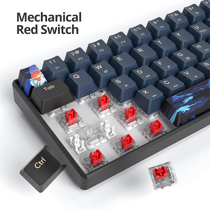 60 Percent Gaming Keyboard 60% Mechanical Keyboard LED Backlit Ultra Compact Wired Keyboard with Red Switch for Windows Laptop Gamer(61 Blue Samurai)