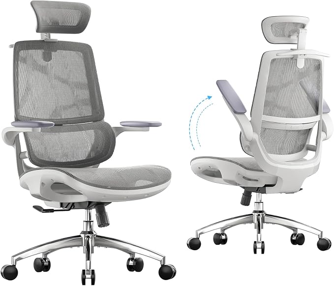 SIHOO M59AS Ergonomic Office Chair, Desk Chair with 3D Flip-up Armrests, Computer Chair with Dual Back Design and Adaptive Dynamic Lumbar Support Grey