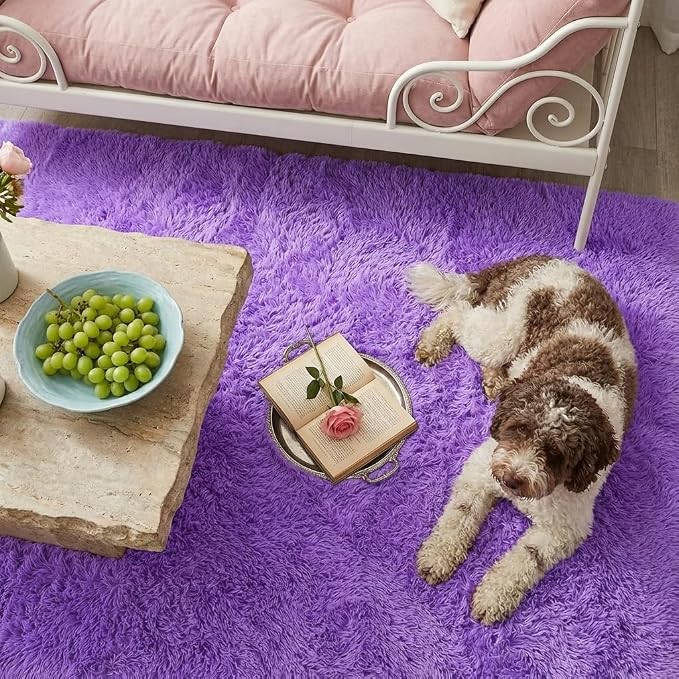 Mugorn Small Soft Shag Rugs for Bedroom, 4x6 Fluffy Area Rugs for Living Room