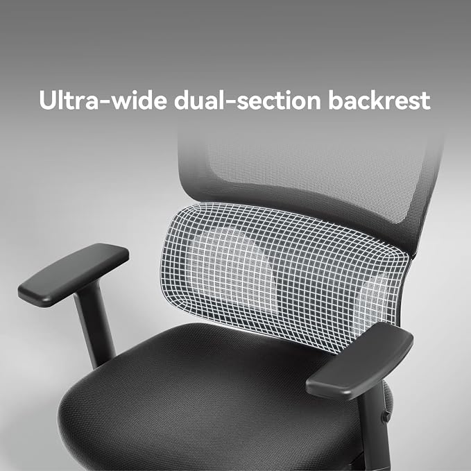 SIHOO M56C Ergonomic Office Chair, Desk Chair with Armrests, Computer Chair with Dual Back Design and Adaptive Dynamic Lumbar Support, 2 Packs, Dark Black