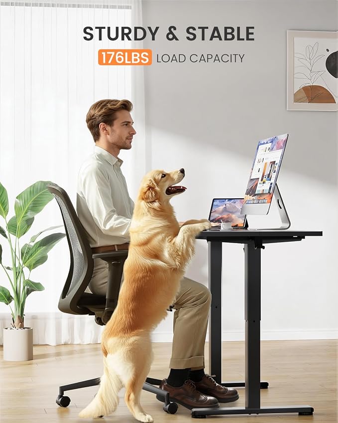 ErGear Low Height Adjustable Desk, Lifts 18.9-28.4 Inches, 48 X 24 Inches Electric Standing Desk for Kids, 4 Height Memory Settings & Storage Hooks, Home Office Computer Table & Study Desk, Black