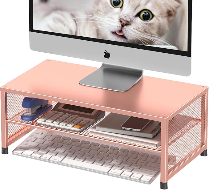 ECOLOVI 2-Tier Computer Monitor Stand Riser, Desk Organizer for Monitor, Printer & Laptop Stand, Desktop Workspace Organizers for Office Supplies(Rose Gold)