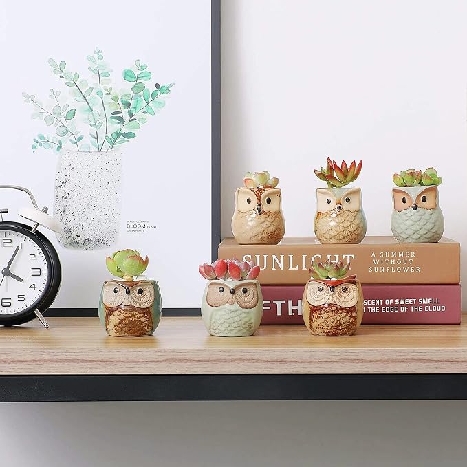 T4U Owl Ceramic Succulent Planter Set of 12, 2.5 Inch - Mini Cute Animal Pots with Drainage Holes, Small Flower Planters for Windowsill Desk Decor, Gift for Owl Lovers