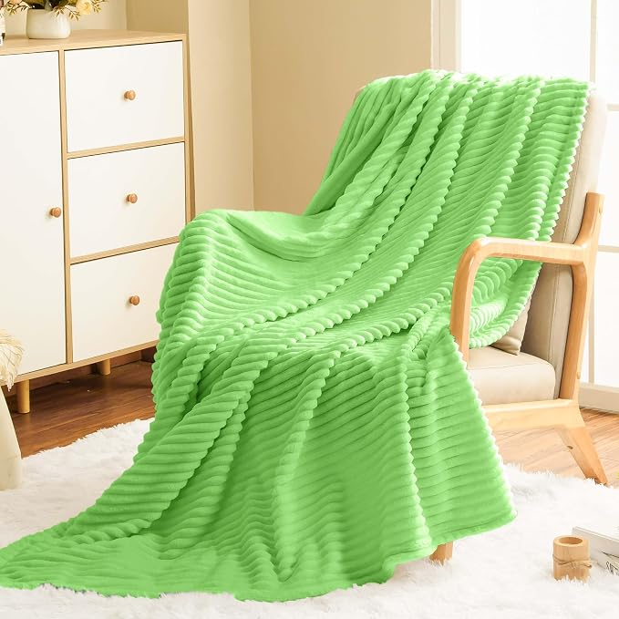 Vessia Flannel Fleece Throw Blanket (50X70 inch), 300GSM Lightweight Light Green Blanket for Couch, Sofa and Bed - Warm and Soft Green Throw for All Season