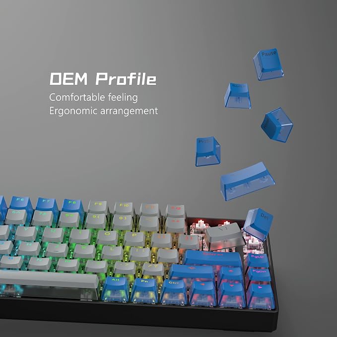 Womier PBT Pudding Keycaps- Shine Through Keycaps,165 Keys Key Cap Set 60 65 75 100 Percent, OEM Profile for Custom Cherry Gateron MX Switches Mechanical Keyboard, Blue