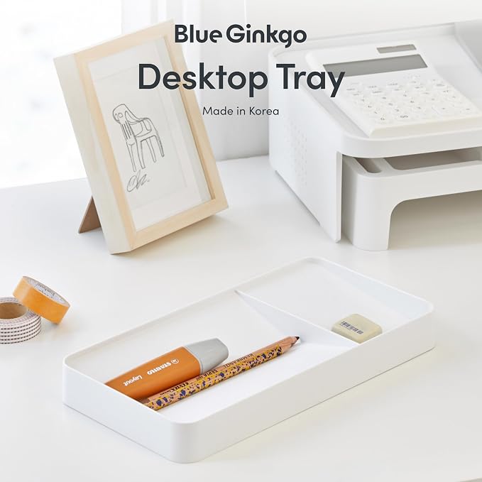 BLUE GINKGO Desk Organizer Tray, White, Made in Korea | Double-Sided. Sloped Design. Easy Access.