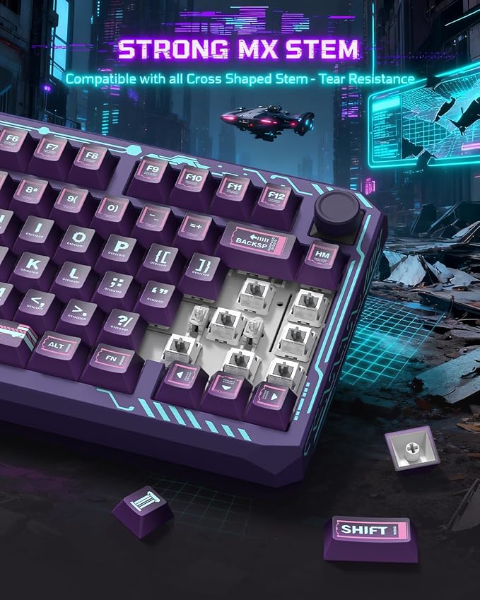 PBT Keycaps Set, ERA75 135 Key Caps,Dye-Sublimation, Cherry Profile Custom Keycap for 61/64/68/84/87/100/104/108 Mechanical Keyboard, Compatiability for 60 65 75 100 Percent Keyboads, Purple