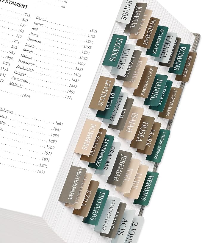 Bible Tabs for Women & Men, Bible Tabs for Study Bible, Large Print Neutral Bible Tabs for Easy Navigation, Bible Index Tabs, 66 Tabs Old & New Testament, Extra 9 Blank Tabs - Winter Wood