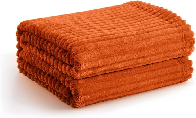 Vessia Flannel Fleece Throw Blanket(50X70 Inch, Orange), Lightweight Warm Cozy Soft Couch and Bed Blanket, Plush Microfiber Sofa Throw for All Season