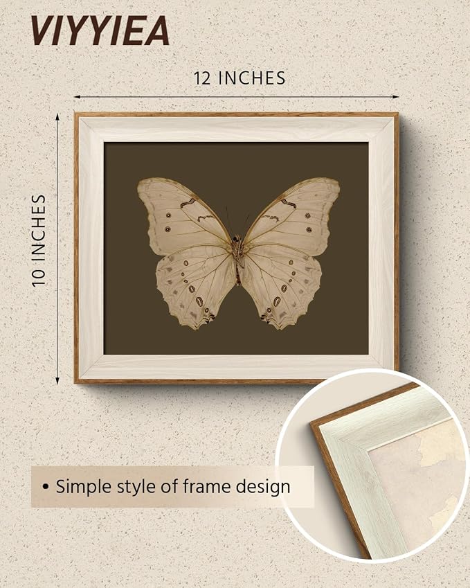 VIYYIEA Framed Butterfly Wall Art for Living Room, Vintage Cream Butterfly Canvas Painting, Rustic Nature Themed Picture Home Decor for Bathroom Bedroom Entryway, 10×12inch