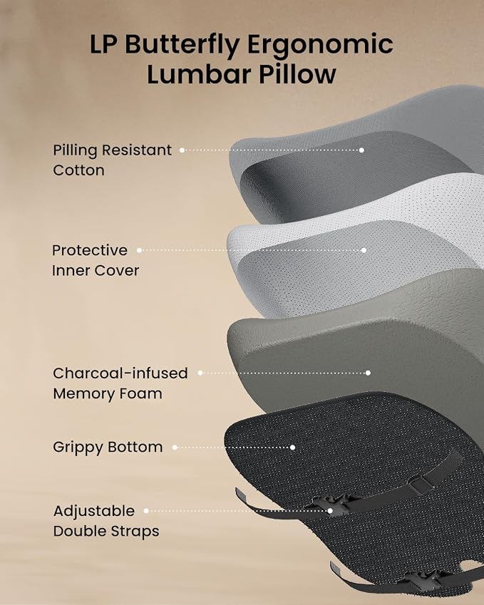 ProtoArc Lumbar Support Pillow for Office Chair, Back Support Pillow, Gray | Memory Foam Pillow for Lower Back Fatigue Relief, Lumbar Pillow Desk Chair Back Cushion, Ergonomic Back Rest for Chair