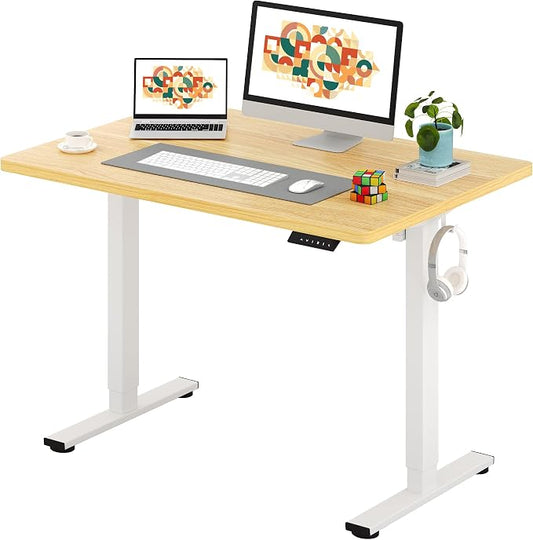 SANODESK One-Piece Electric Standing Desk, Seamless 48 x 30'' Ergonomic Height Adjustable Sit Stand Desk with Memory Presets for Home Office Computer Workstation, White Frame/Natural Top