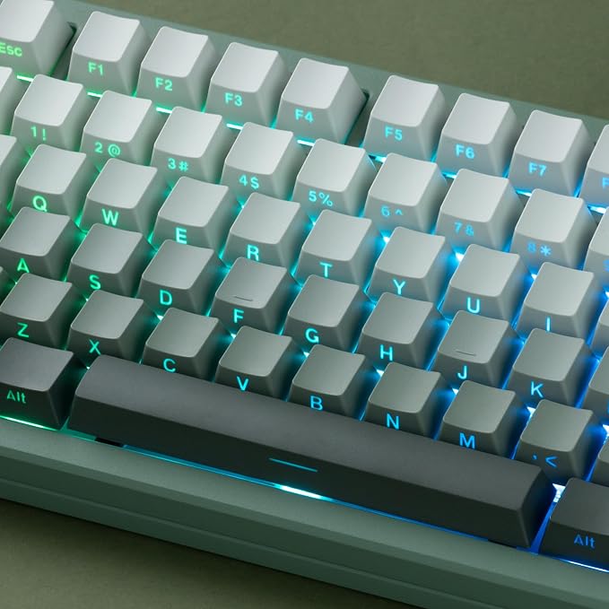 dagaladoo Double Shot PBT keycaps Set,Shine Through Keyboard keycaps Gradient 60% 75% 100%,OEM Profile Keyboard caps,Side Printed Key caps for Mechanical Gaming Keyboards,Seaweed Green