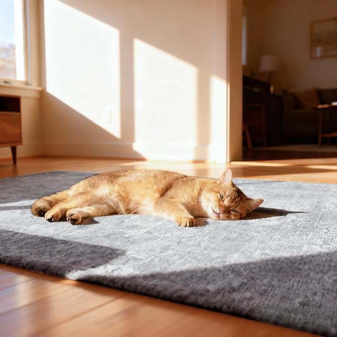 Office Chair Mat for Hardwood Floor, 48"x60" Desk Chair Mat for Home Office, Anti-Slip Under Desk Mat for Rolling Chair,Floor Protector Washable Rugs for Gaming Chairs-Light Grey