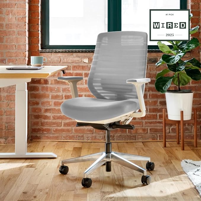 Branch Ergonomic Chair, Versatile Desk Chair with Adjustable Lumbar Support | Breathable Mesh Backrest and Smooth Wheels, Experience Optimal Comfort and Support, Pebble/White