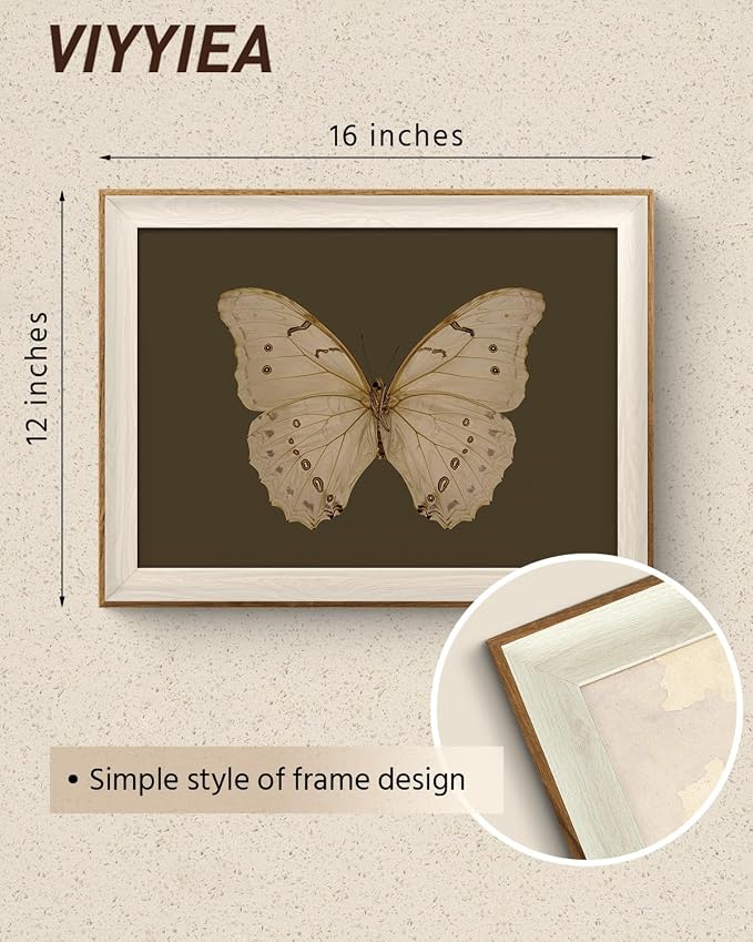 VIYYIEA Framed Butterfly Wall Art for Living Room, Vintage Cream Butterfly Canvas Painting, Rustic Nature Themed Picture Home Decor for Bathroom Bedroom Entryway, 12×16inch