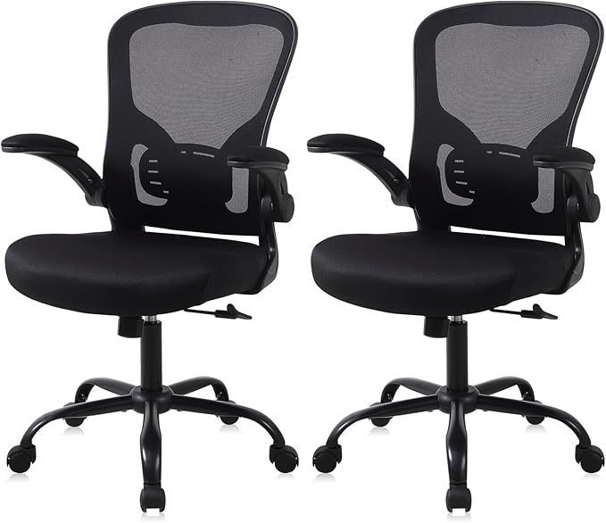 Flysky Mesh Office Chair, Ergonomic Computer Desk Chairs for Home Office - with Comfy/Comfortable Flip-up Arm Rests, Lumbar Support, Height Adjustable, 360 Degree Rolling Swivel (Black, 2 Pack)