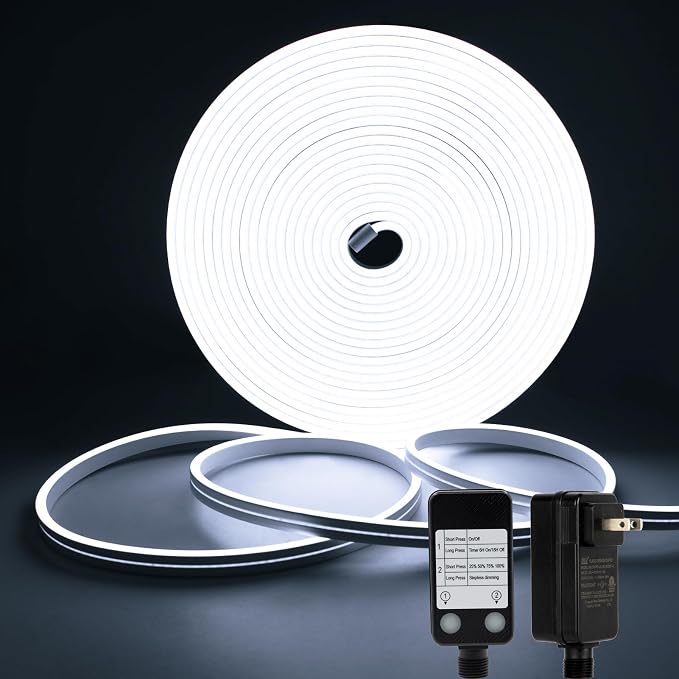 DBFAIRY 33Ft LED Neon Rope Lights, 24V Dimmable LED Strip Lights DIY Flexible Silicone Waterproof Neon Strip Lights for Bedroom Gaming Bedroom Outdoor Decor (Cool White)
