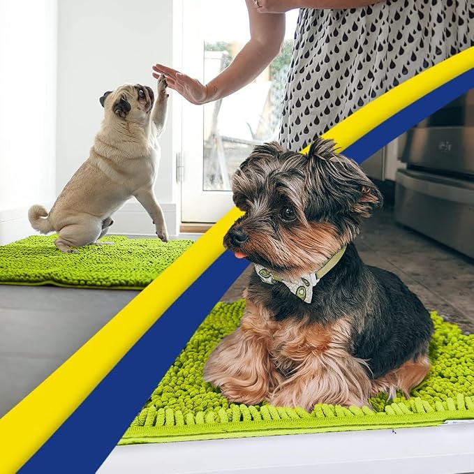 Muddy Mat® | Super Absorbent Door Mat Indoor, Microfiber Quick Dry Chenille Entryway Rug, Non-Slip Front Door Mat, Indoor Mats for Entryway, Machine Washable Pet Rug, Spring Green 20" x 48"