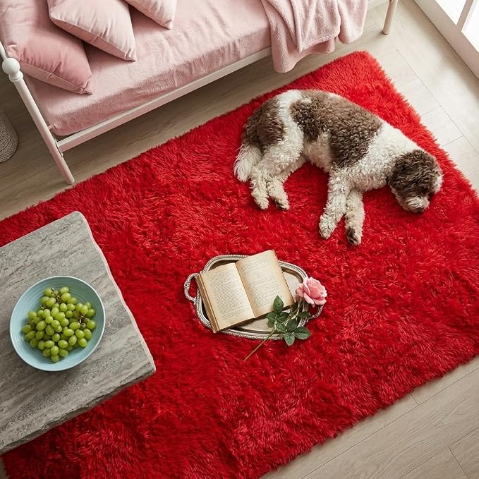 Mugorn Small Soft Shag Rugs for Bedroom, 4x6 Fluffy Area Rugs for Living Room