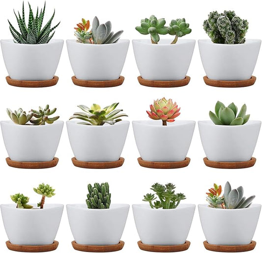 Brajttt Succluent Pots ，Small Flower Pots Planter Pots with Drinage,Ceramic Flowers Pots with Bamboo Tray for Cactus(12 Pack)