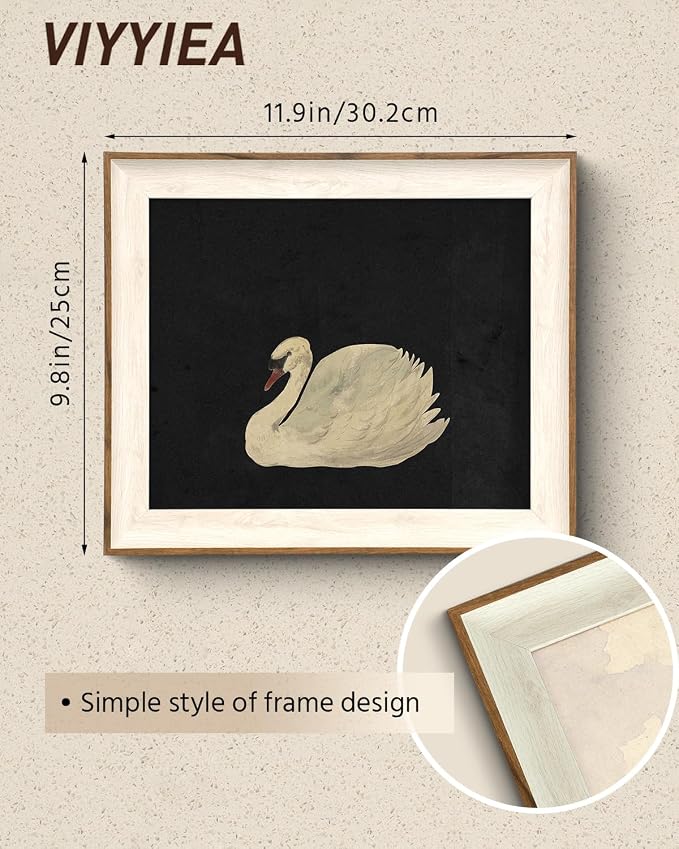 VIYYIEA Framed Wall Art for Living Room, Swan Wall Decor, 12L x 10W | Vintage Artwork, Canvas Prints, Animals Painting, Bathroom Picture, Light Weight, Easy to use