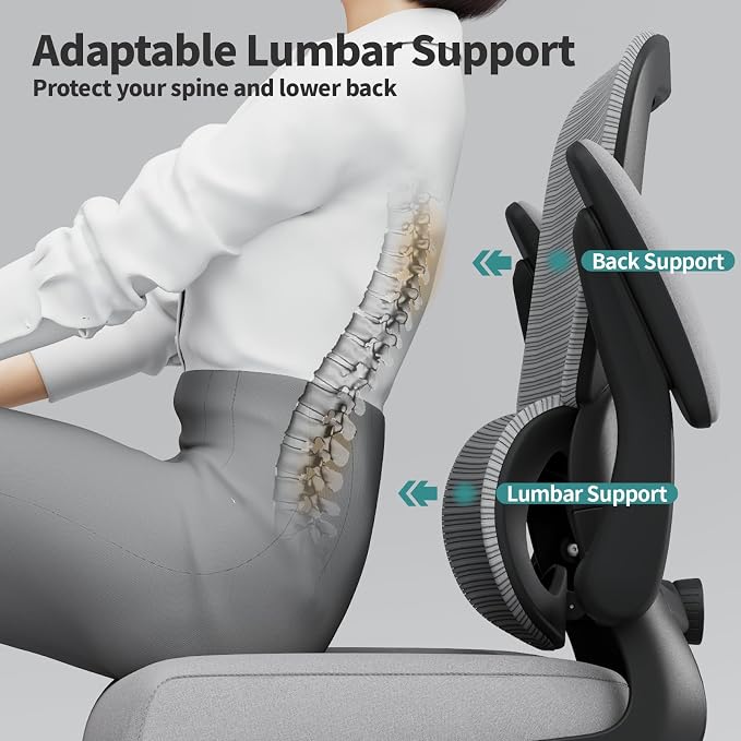 TRALT Office Chair - Ergonomic Desk Chair with Adjustable Lumbar Support, Mesh Computer Chair, Executive Chair for Home Office Comfortable Lumbar Support (Fog Gray)
