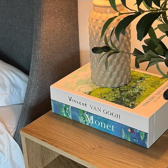 Decorative Cable Management Box - Book Shape Cord Organizer Box with Magnetic Closure for Home & Office (GoghMonet, Standard)