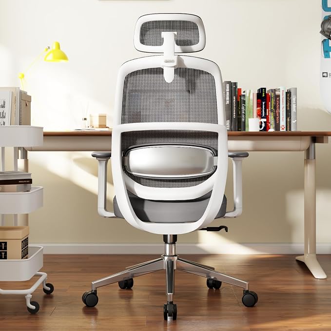 Ergonomic Office Chair, Home Office Desk Chairs, 3D Lumbar Support High Back Desk Chair, Comfortable Computer Chair & Gaming Chair for Office & Home - Silver