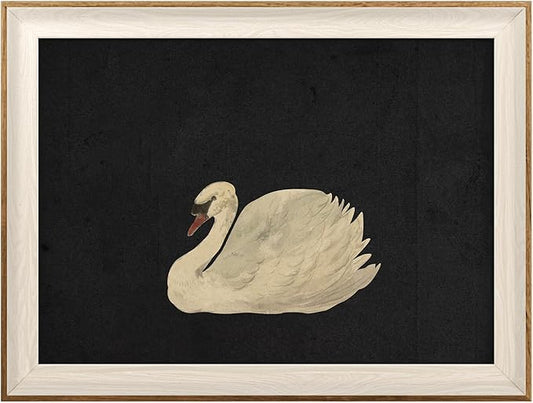 VIYYIEA Framed Wall Art for Living Room, Swan Art Canvas Prints, Vintage Home Decor, Animals Painting Picture, Bathroom Wall Decor Gifts for Friends or Family - 16L x 12W