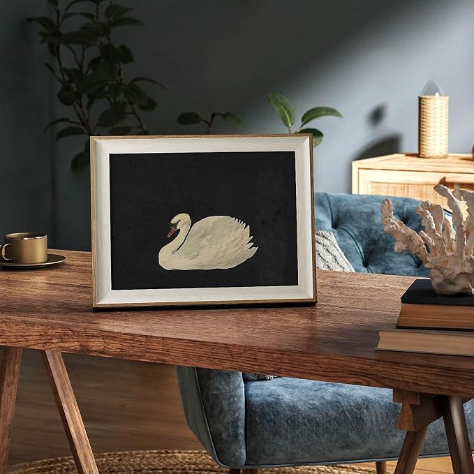 VIYYIEA Framed Wall Art for Living Room, Swan Wall Decor, 12L x 10W | Vintage Artwork, Canvas Prints, Animals Painting, Bathroom Picture, Light Weight, Easy to use
