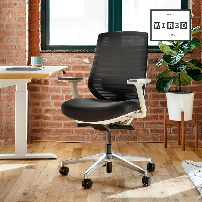 Branch Ergonomic Chair, Versatile Desk Chair with Adjustable Lumbar Support | Breathable Mesh Backrest and Smooth Wheels, Experience Optimal Comfort and Support, Black