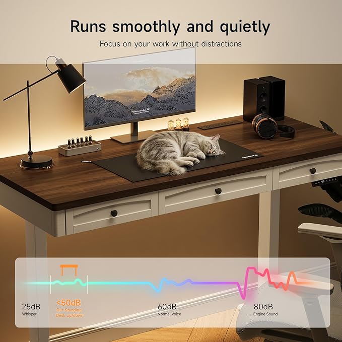 ONBRILL Standing Desk with 3 Drawers, 55 x 24 Inch Electric Height Adjustable Desk with Storage & Outlets, for Computer Workstation, Home Office, Retro Curved Table Corner & Drawers, Walnut