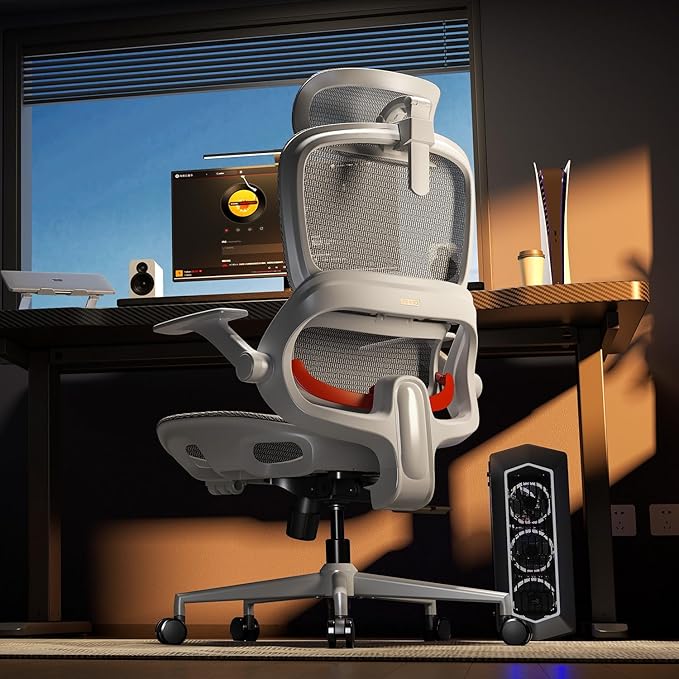 SIHOO B100 Office Chair, Comfy Ergonomic Office Chair, High Back Computer Chair with Adaptive Lumbar Support & Wide Headrest, Flip-up Armrests, Swivel Desk Chair for Long Hours, Grey