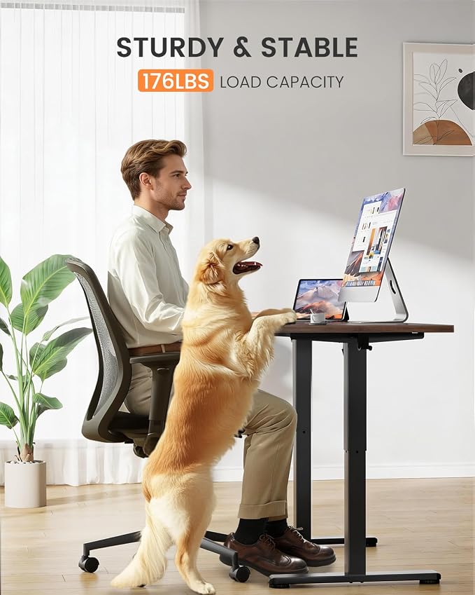 ErGear Low Height Adjustable Desk, Lifts 18.9-28.4 Inches, 48 X 24 Inches Electric Standing Desk for Kids, 4 Height Memory Settings & Storage Hooks, Home Office Computer Table & Study Desk, Walnut
