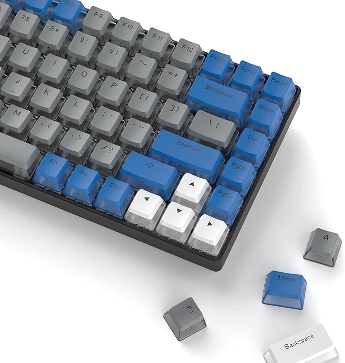 Womier PBT Pudding Keycaps- Shine Through Keycaps,165 Keys Key Cap Set 60 65 75 100 Percent, OEM Profile for Custom Cherry Gateron MX Switches Mechanical Keyboard, Blue