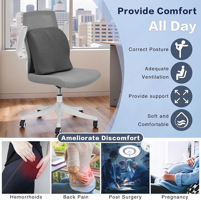 baibu Lumbar Support Pillow for Office Chair, Memory Foam Back Support Cushions Ergonomic Orthopedic Lumbar Pillow for Home, Office, Car, Dark Grey
